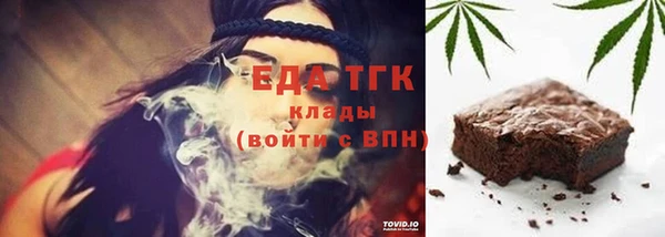 мдпв Богородицк