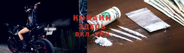мдпв Богородицк