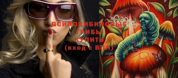 спайс Богданович