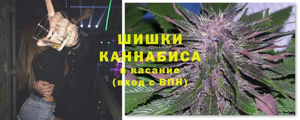 мдпв Богородицк