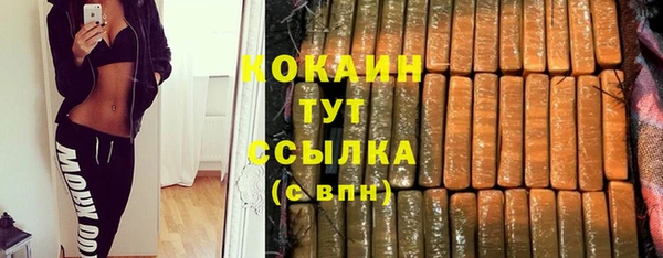 мдпв Богородицк