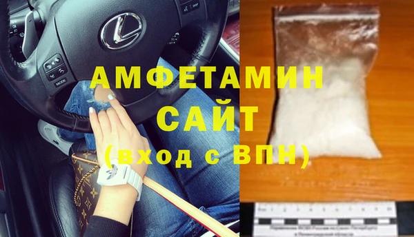 спайс Богданович