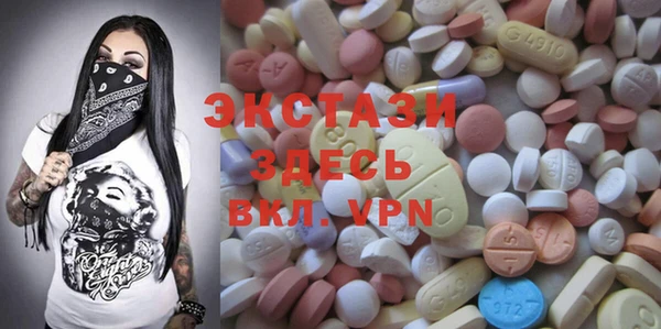 мдпв Богородицк
