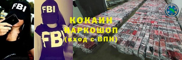 спайс Богданович