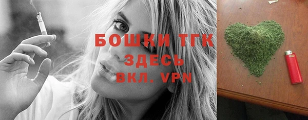 мдпв Богородицк