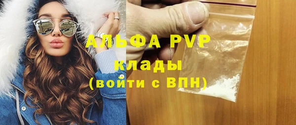 спайс Богданович