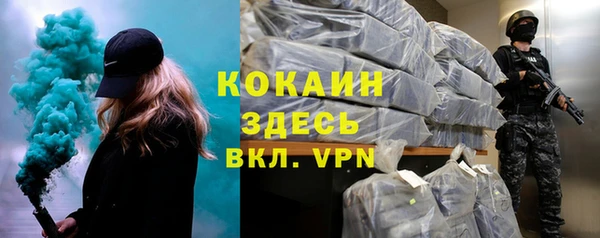 спайс Богданович