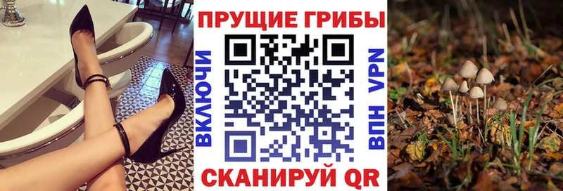 Псилоцибиновые грибы GOLDEN TEACHER  купить закладку  Дно 